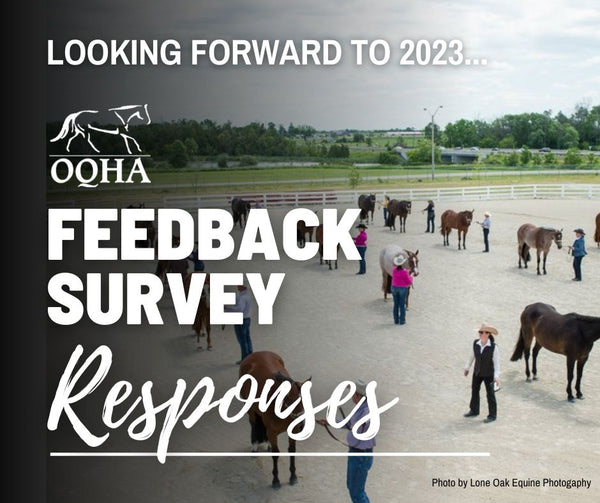 Report - Feedback Survey Responses
