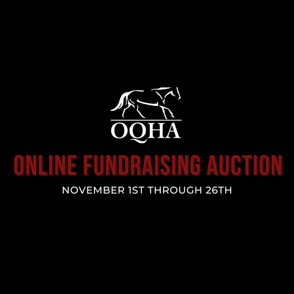 Fundraising Auction