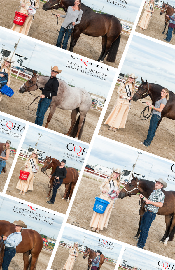 The 2022 OAQHA Challenge