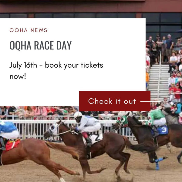 OQHA Race Day - July 16th