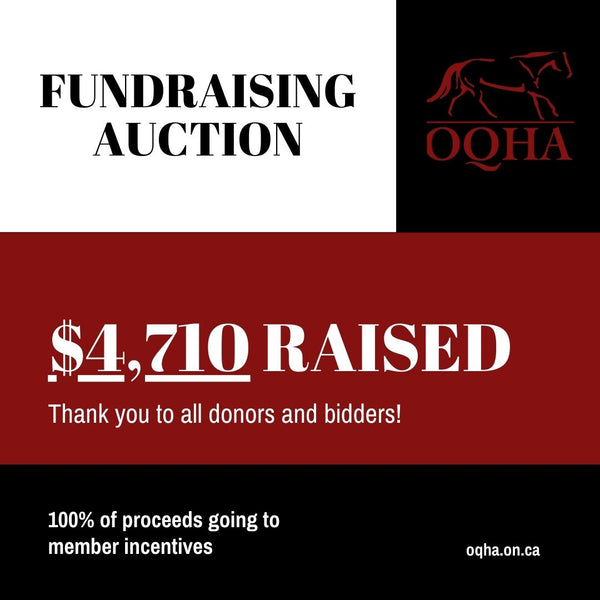 Fundraising Auction Winners/Wrap-Up