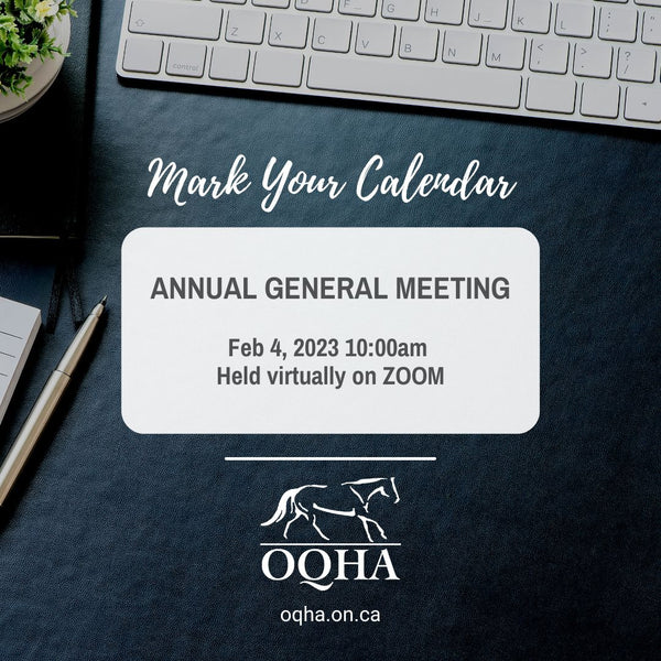 Attend the Annual General Meeting