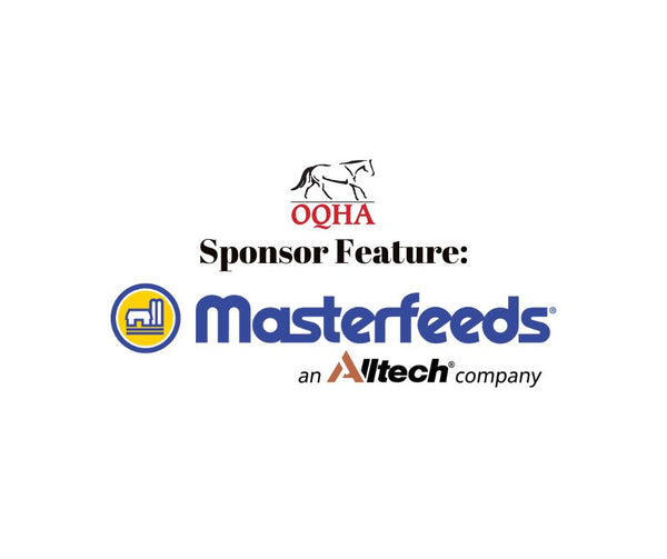 SPONSOR FEATURE: Masterfeeds