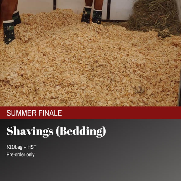 Shavings - 2024 Summer Finale
