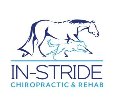 Initial Equine Appointment - In-Stride Chiropractic & Rehab