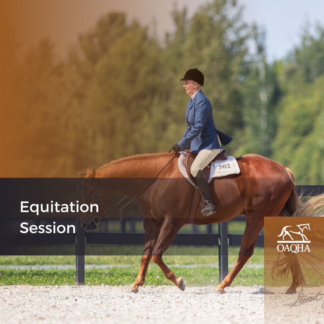 Clinic - Equitation Session