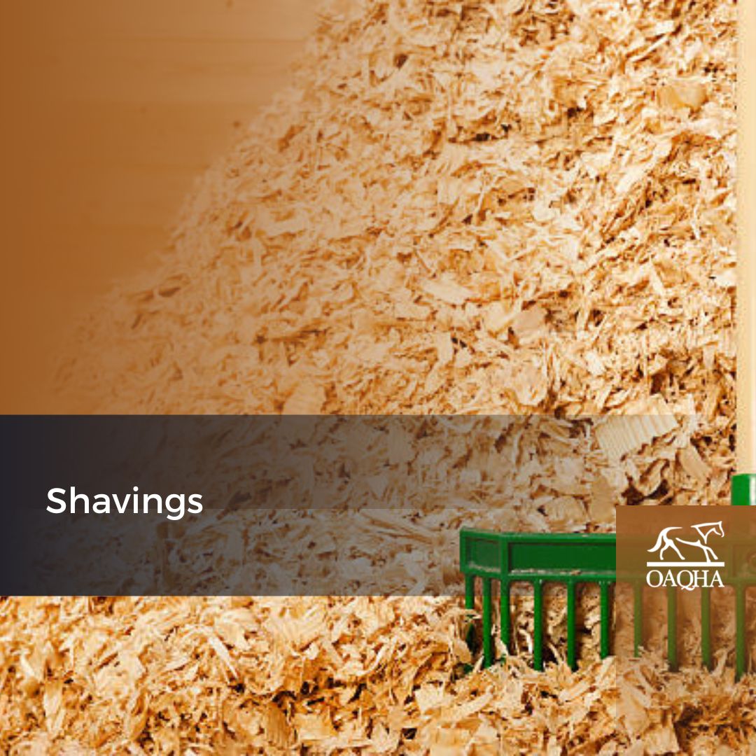 2024 Clinic - Shavings