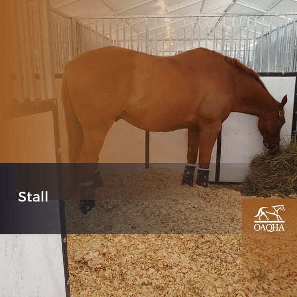 2024 Clinic - Stall